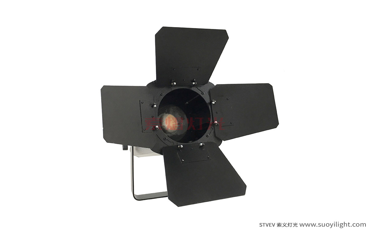 Rome200W LED Thread Zoom Spot Light