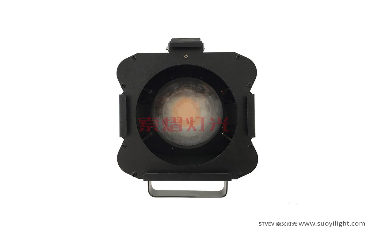 Rome200W LED Thread Image Light