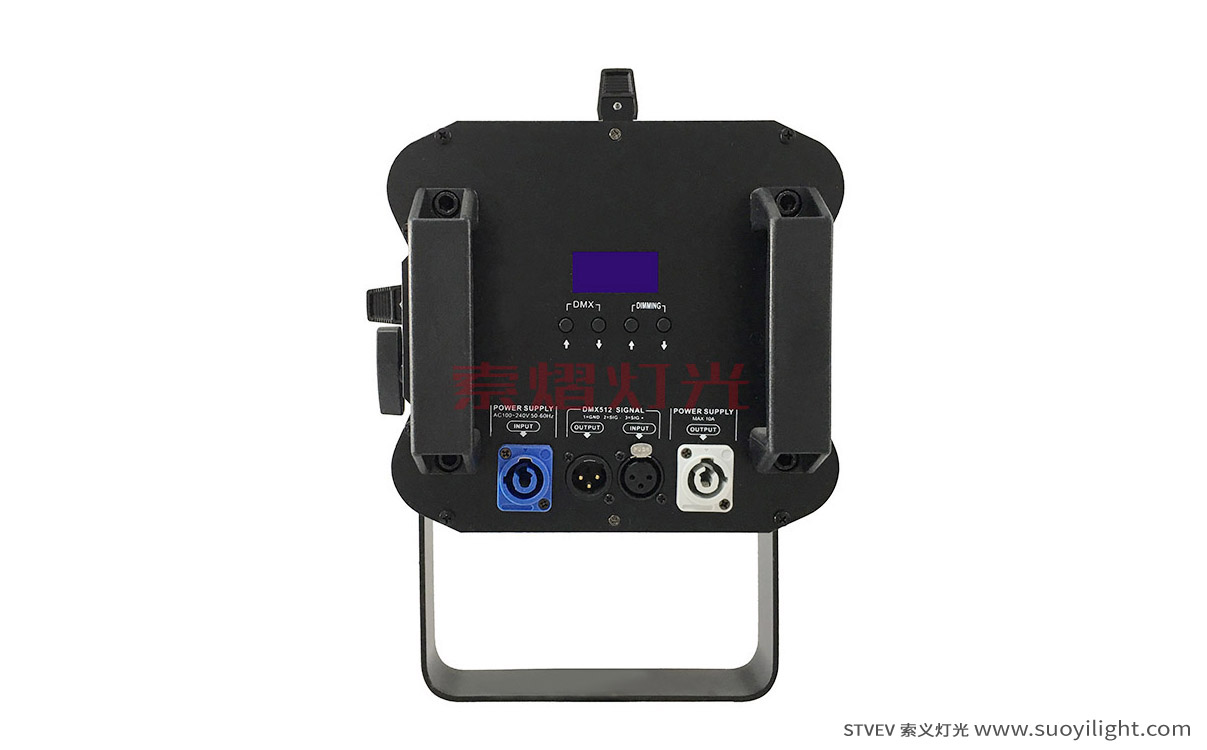 Rome200W LED Thread Image Light