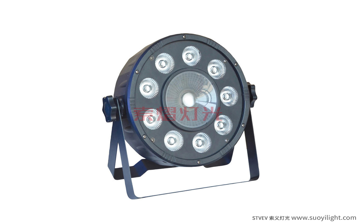 9+1 LED Plastic Par Light