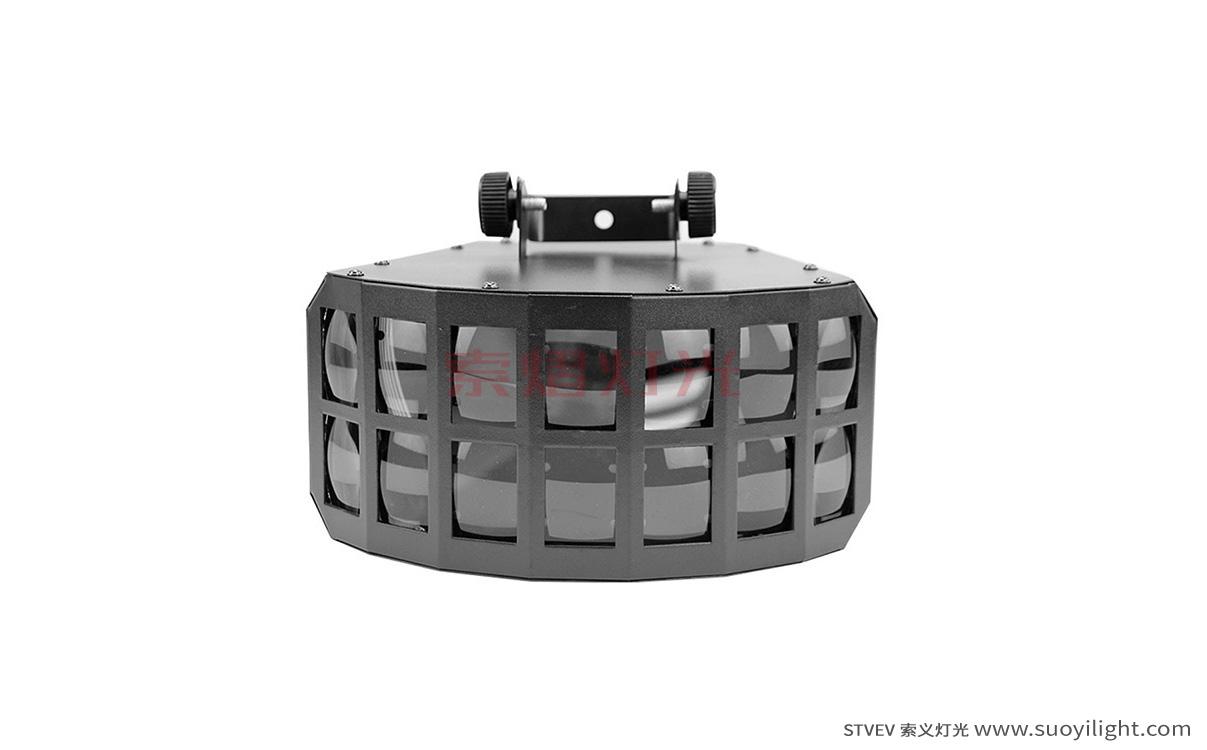 LED Double Butterfly Light